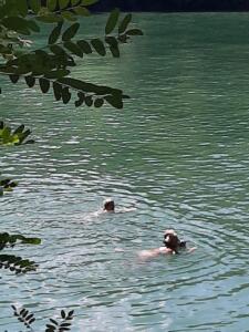 IMG-20220904-WA0013